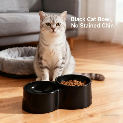 Ceramic Raised Cat Bowls, Tilted Elevated Anti Vomit Bowls for Indoor Cats, Non-Slip Bottom, Dual Food & Water Black Bowl, Whisker Friendly Pet Feeder for Cats Puppies