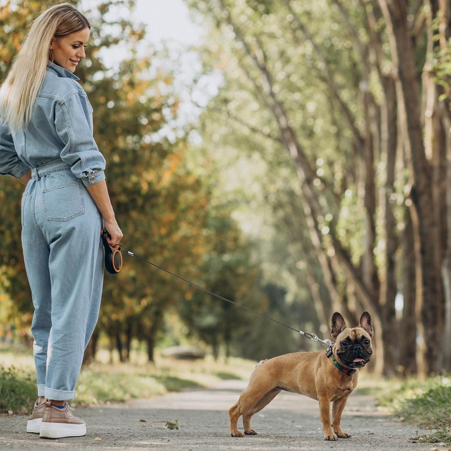 2PCS Chew Proof Dog Leash, Short Dog Leash Double Clip Dog Collar Extender Black Durable Dog Tether for Car Safety for Collars & Harnesses(23.62inch/60cm)