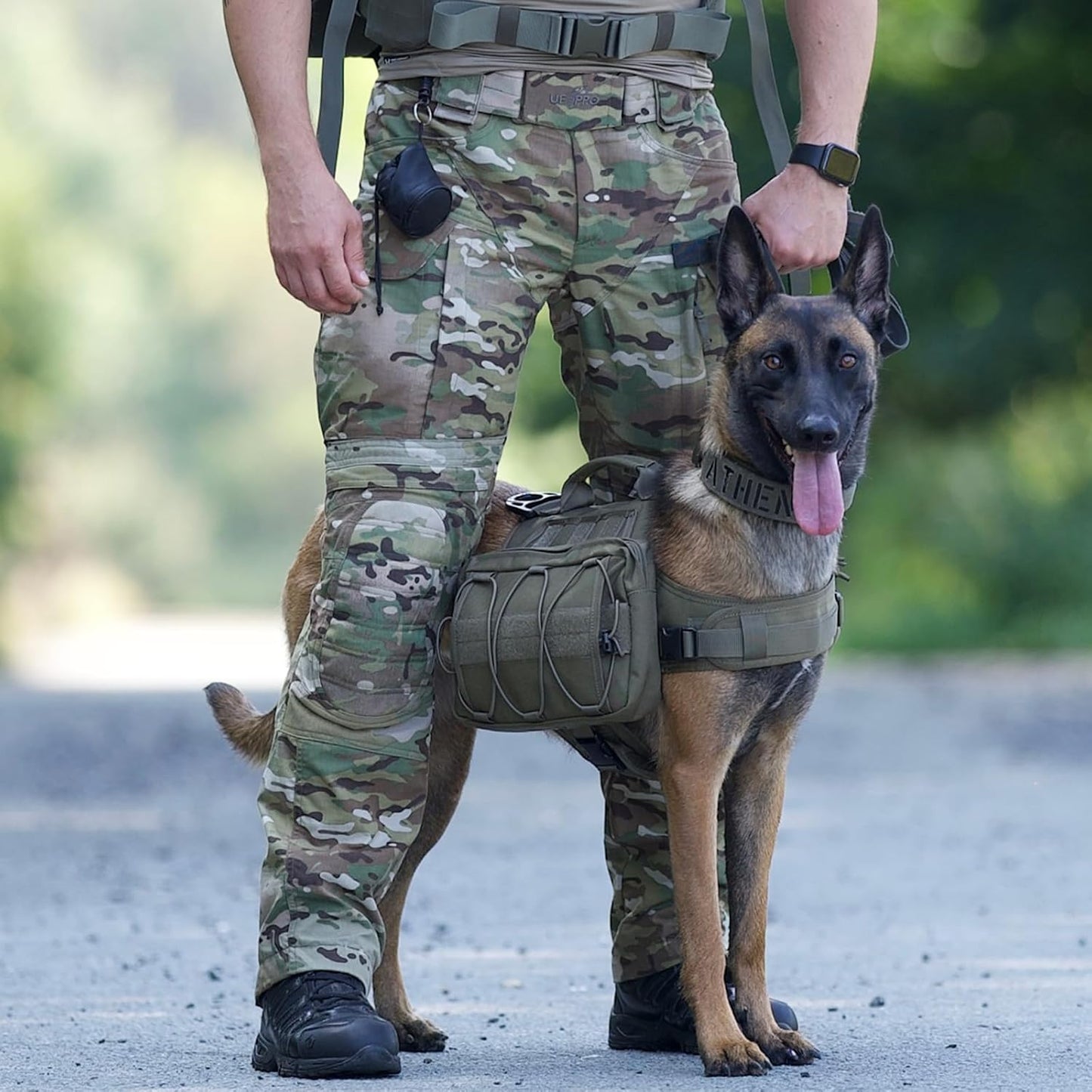 ONETIGRIS Dog Backpack for Hiking Nylon Dog Harness Backpack with Side Pockets for Large Dog with 17"-23.5" Neck Girth and 25"-31" Chest Girth (Green, Medium)