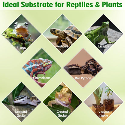 Halatool Reptile Substrate 2QT Clay Pebbles Terrarium Bedding for Reptiles Organic Clay Balls Bioactive Drainage Layer for Terrariums & Vivariums Leopard Gecko Tortoise Frog Lizard Ball Python