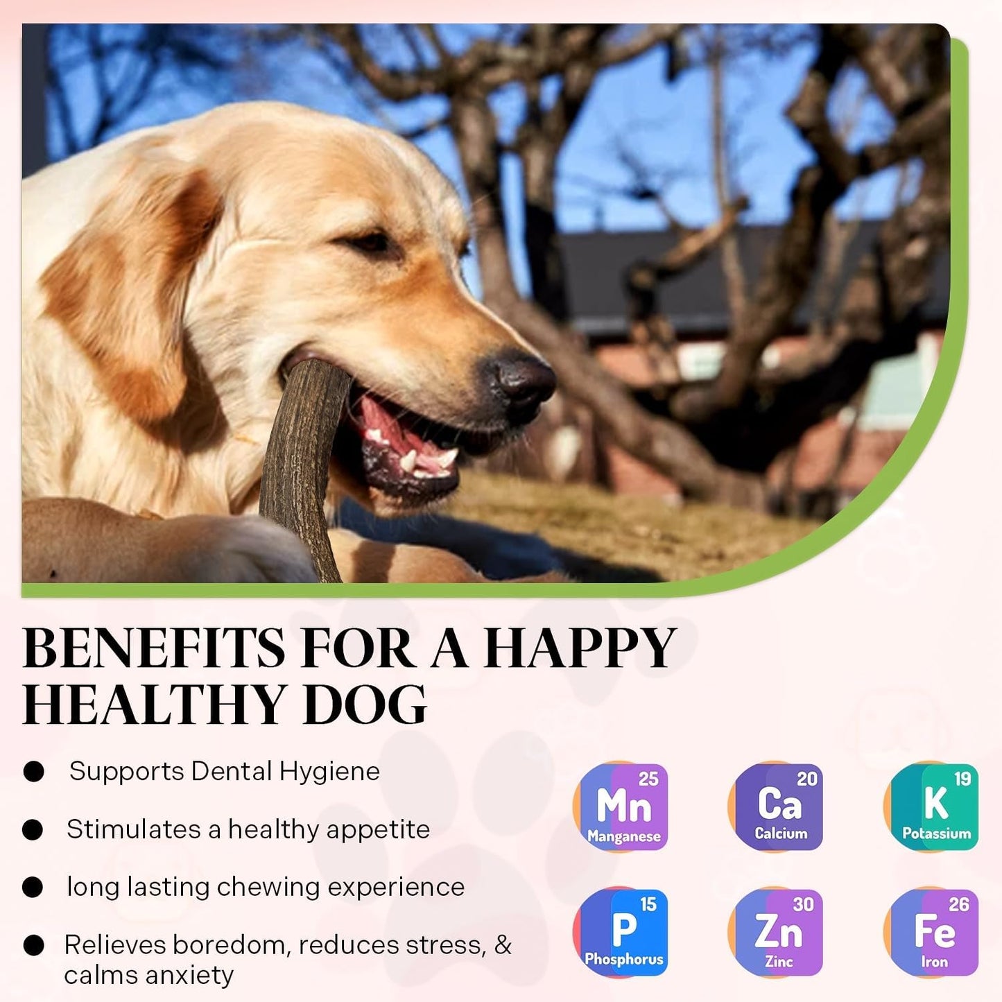 Healthy Dogma Allergy-Sensitive Dog Food & Elk Antler Chew Combo: Dehydrated Chicken Dinner (10 lbs) + Natural, Long-Lasting Elk Antler for Tough Chewers (8+ Inches)