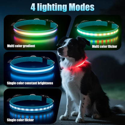 LED AirTag Dog Collar - Brightest Light Up Dog Collars - IP68 Waterproof Air Tag Dog Collar Holder - 1,600 Feet of High Visibility - Magnetic Charging - Dog Lights for Night Walking, Blue M