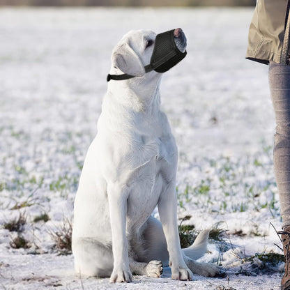 HEELE Dog Muzzle,Soft Nylon Muzzle Anti Biting Barking Chewing,Air Mesh Breathable Drinkable Adjustable Loop Pets Muzzle for Small Medium Large Dogs 4 Colors 4 Sizes (Black, M)