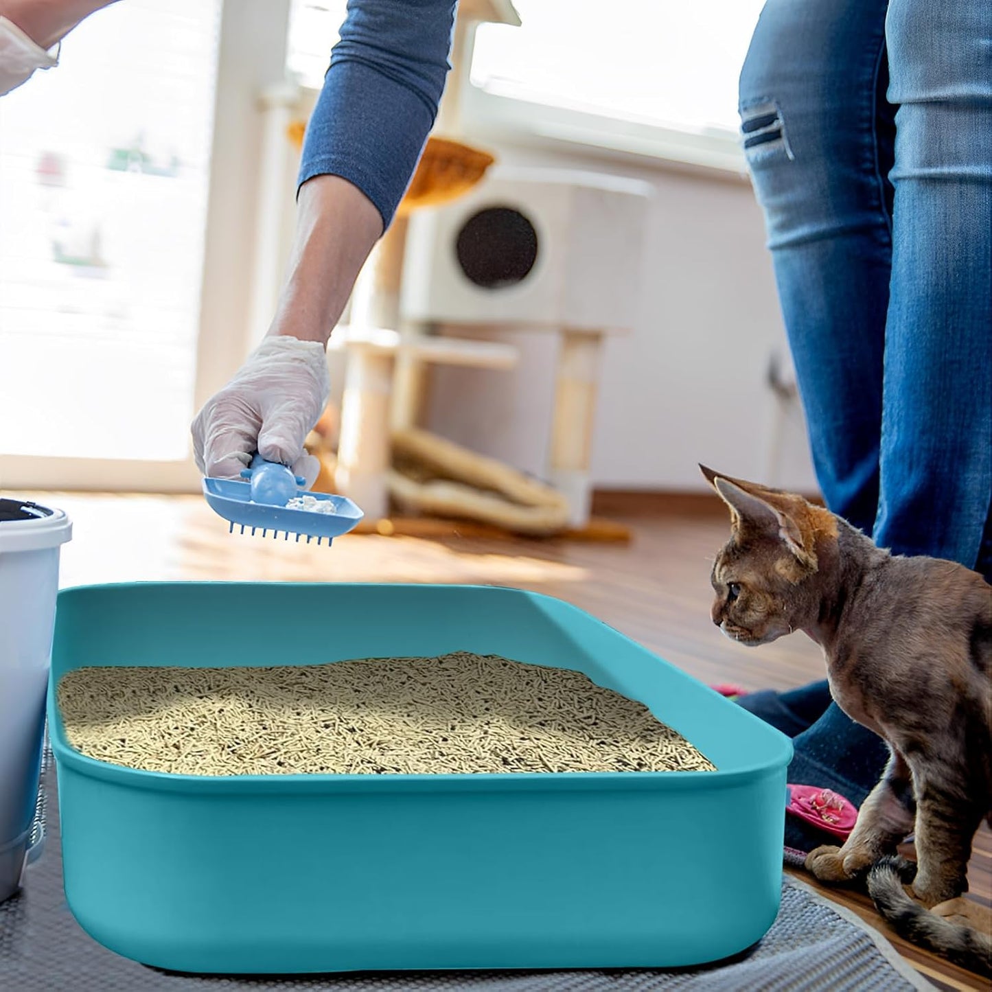 Small Litter Box, Plastic Kitten Litter Box, 13.9 x 9.8 x 3 Inch Open Litter Box for Small Pet, Easy to Clean (Blue 4PCS)