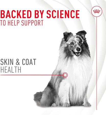 Royal Canin Skin & Coat Dog Supplement Soft Chews for Adult Dogs, 60 Count (Pack of 4)