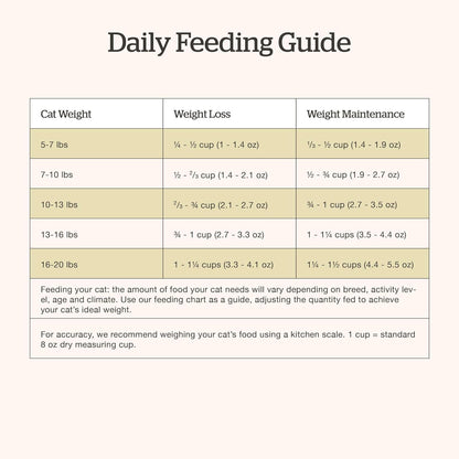 Now Fresh Grain-Free Senior Dry Cat Food with Turkey, Salmon & Duck, Premium Kibble Made with Real Meat & Fish, Chicken-Free Recipe, Supports Healthy Weight Management, 16 lb Bag