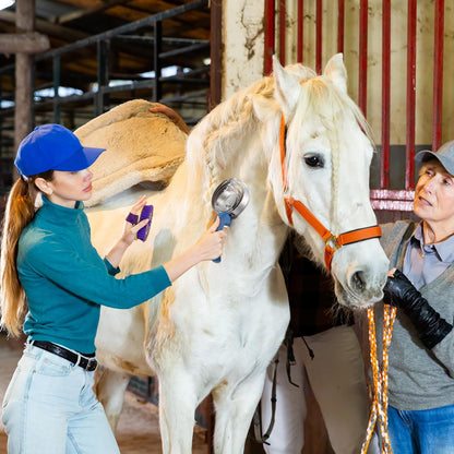 Tanlade 8 Pack 4 Rings Curry Comb Horse Brush Metal Curry Brush Derby Party Supplies Reversible Stainless Steel Curry Comb Scraper with Comfortable Grip for Cow Sheep Pet Dog Goat Horse, Blue