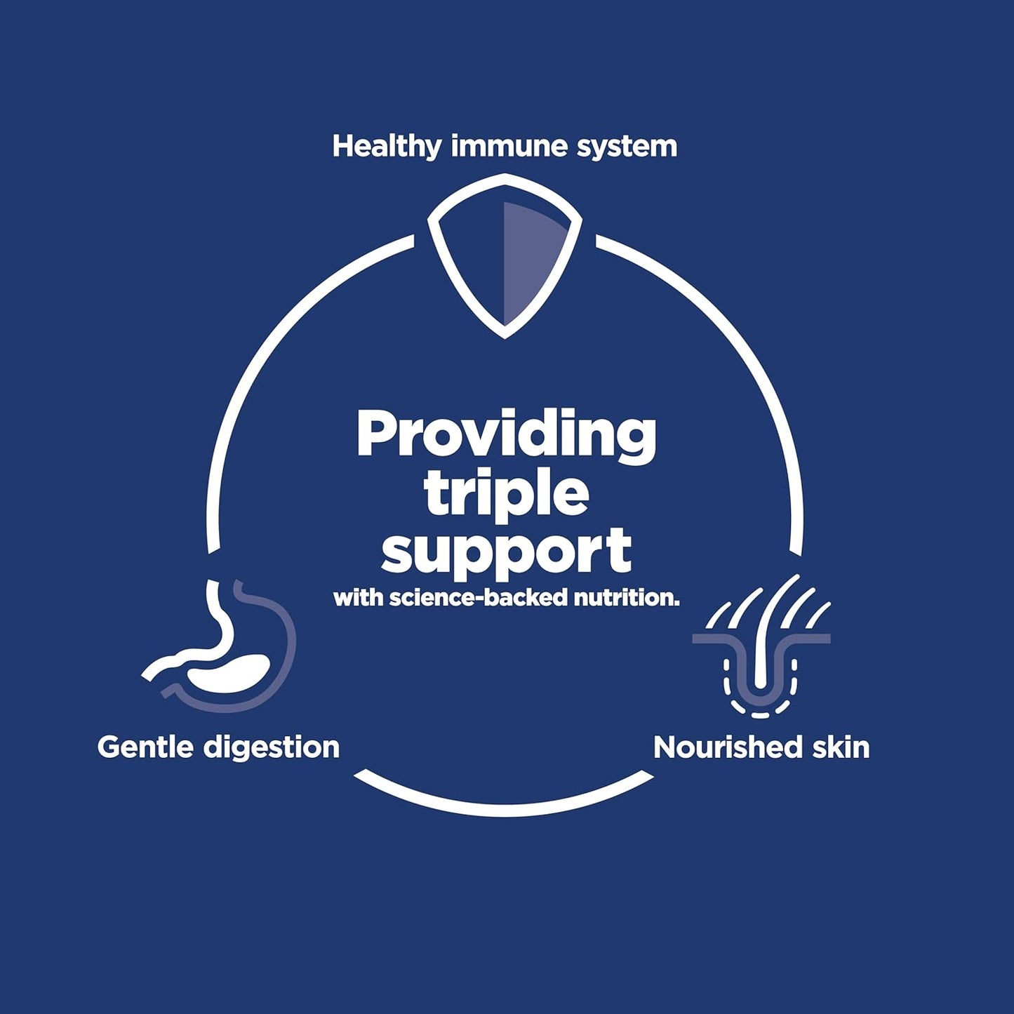 Hill's Science Diet Adult 1-6 Sensitive Stomach & Skin Dry Dog Food, Chicken Recipe, 30 lb. Bag Sensitive Stomach & Skin Wet Dog Food, Turkey & Rice Stew, 12.5 oz. Can, 12-Pack