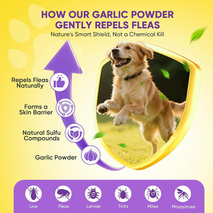 Dog Flea and Tick Treatment Chewable 200 Treatment Chews Natural Soft Chew Fleas Ticks Treatment Dog Oral Chewables Support Supplement Pest Defense Breeds and Ages Dogs Chicken Flavor