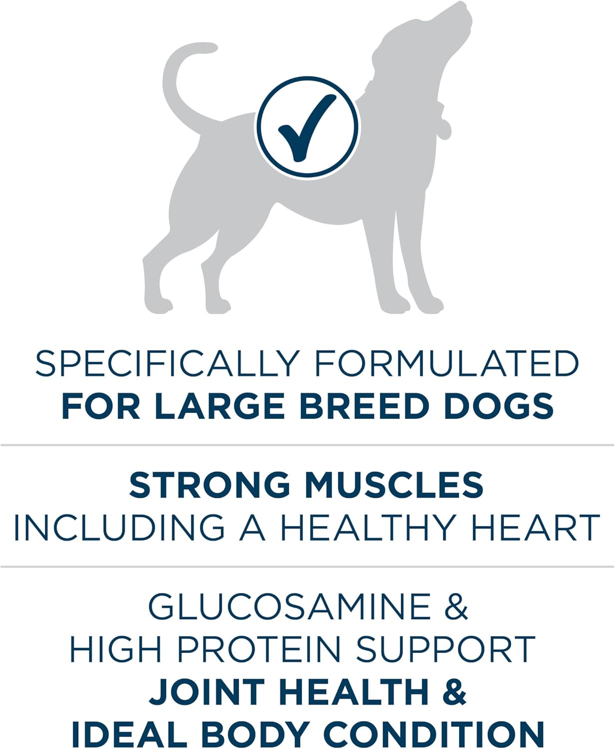 Purina One +Plus Dry Dog Food for Large Adult Dogs High Protein, Real Chicken - 31.1 lb Bag