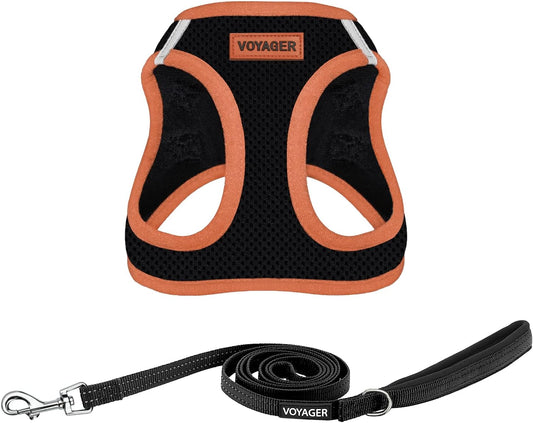 Best Pet Supplies Voyager Step-in Air All Weather Mesh Harness and Reflective Dog 5ft Leash Combo with Neoprene Handle, for Small, Medium and Large Breed Puppies - Set (Black/Orange Trim), Medium