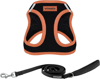 Best Pet Supplies Voyager Step-in Air All Weather Mesh Harness and Reflective Dog 5ft Leash Combo with Neoprene Handle, for Small, Medium and Large Breed Puppies - Set (Black/Orange Trim), Medium