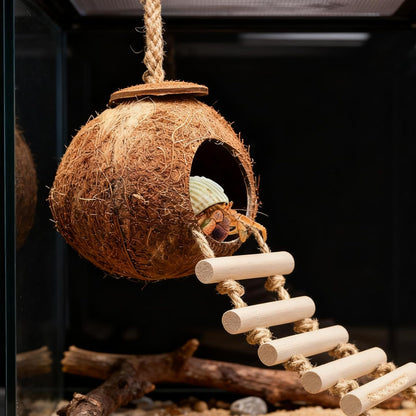 Gecko Tank Accessories Natural Coconut Shell Hut with Climbing Ladder & Suction Cup Hermit Crab Toys Reptile Hideout for Leopard Gecko Snake Lizard and Small Pets Habitat Decor