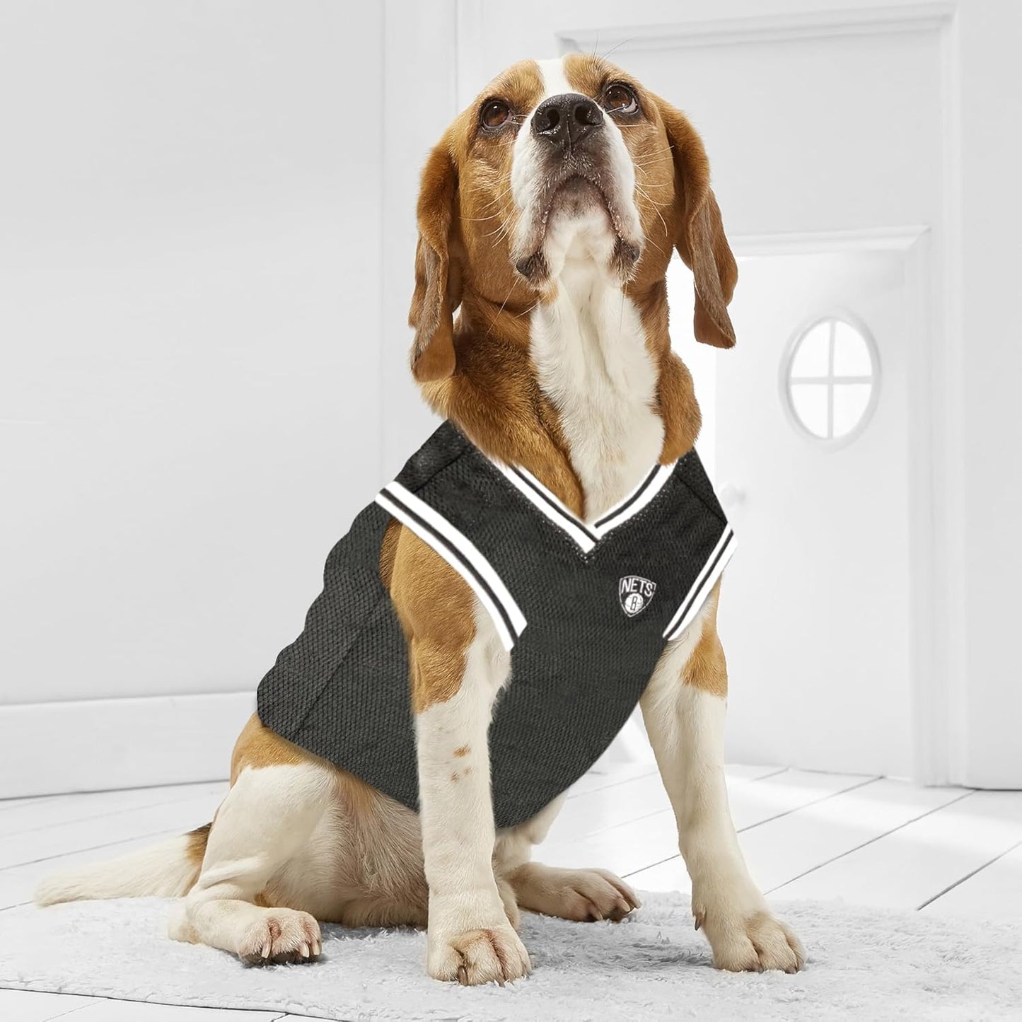 NBA PET Jersey Brooklyn NETS Basketball Dog Jersey, Medium. Best Licensed Basketball Jersey for The Real Four-Legged Fan!