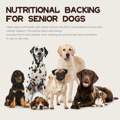 Dog Cancer Supplements, Dog Critical Guard, Defense Immune Support, Mushroom Supplement with Turkey Tail, Reishi, Lion’s Mane & Cordyceps, Immune Support Powder for Wellness & Vitality, Natural Herbal