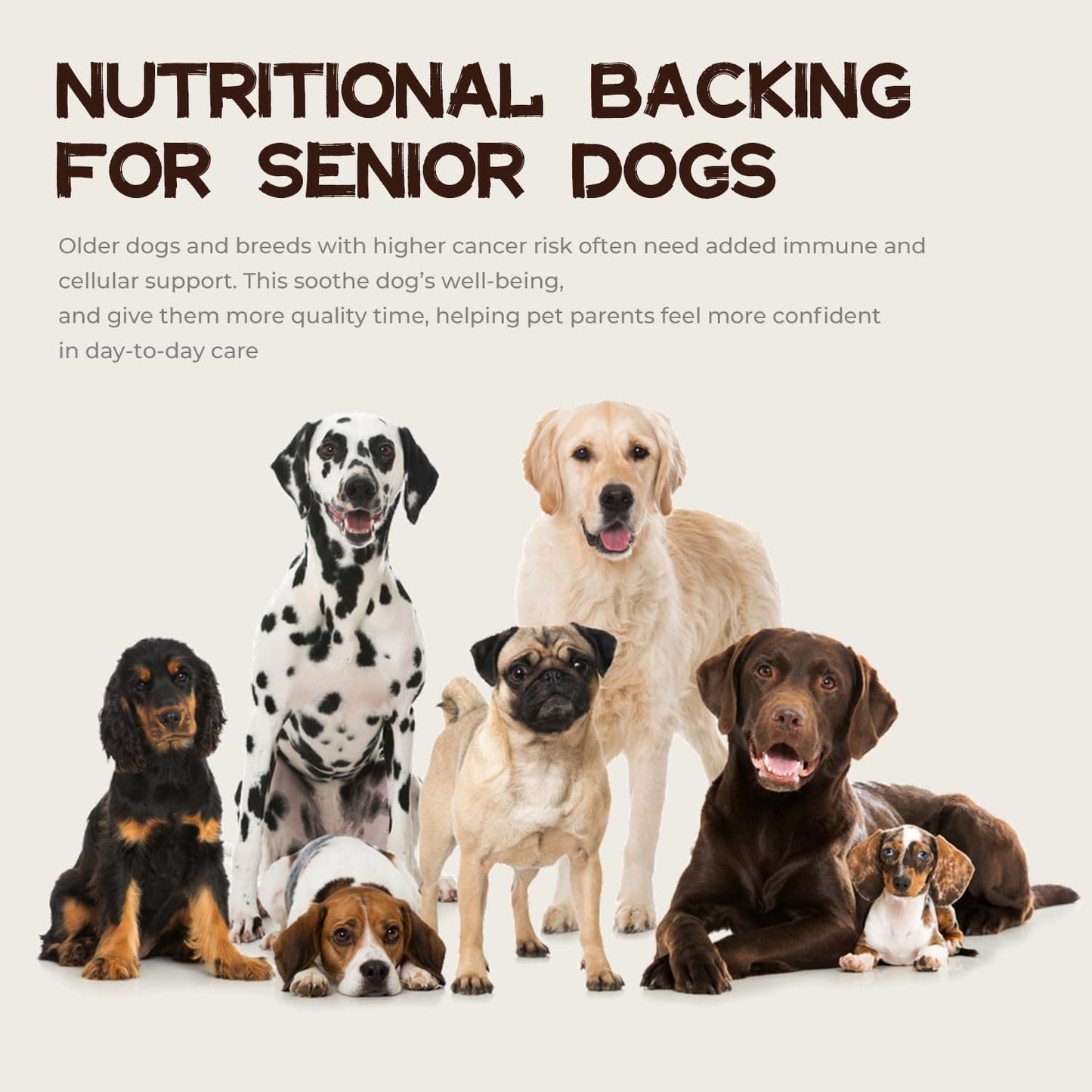 Dog Cancer Supplements, Dog Critical Guard, Defense Immune Support, Mushroom Supplement with Turkey Tail, Reishi, Lion’s Mane & Cordyceps, Immune Support Powder for Wellness & Vitality, Natural Herbal