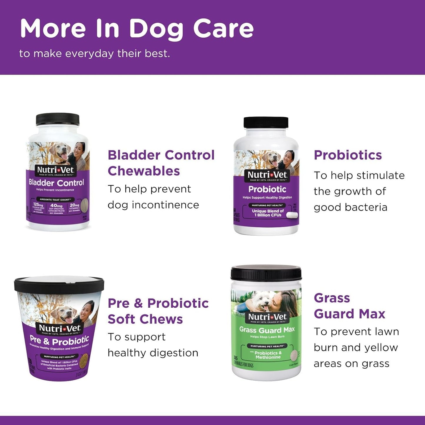 Nutri-Vet Immune & Digestive Health Biscuits for Dogs, Immune Health Biscuits, Prebiotic & Postbiotic Dog Treat, Functional Treat, 16 oz