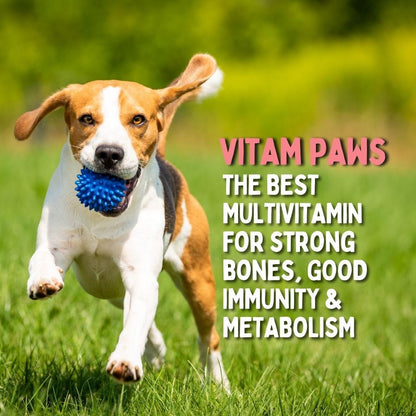 Vitam Paws Multivitamin for Dogs & Cats, Essential Vitamins & Minerals for Healthy Skin, Heart, Brain Function, Boosted Immunity & Growth, Suitable for All Breeds & Sizes (200ml)