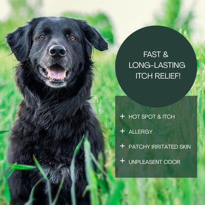 Dog Shampoo Itchy Skin Relief - 16oz, Best Itchy Skin Relief for Dogs, Fast Acting, Soothing Dog Shampoo for Allergies and Itching