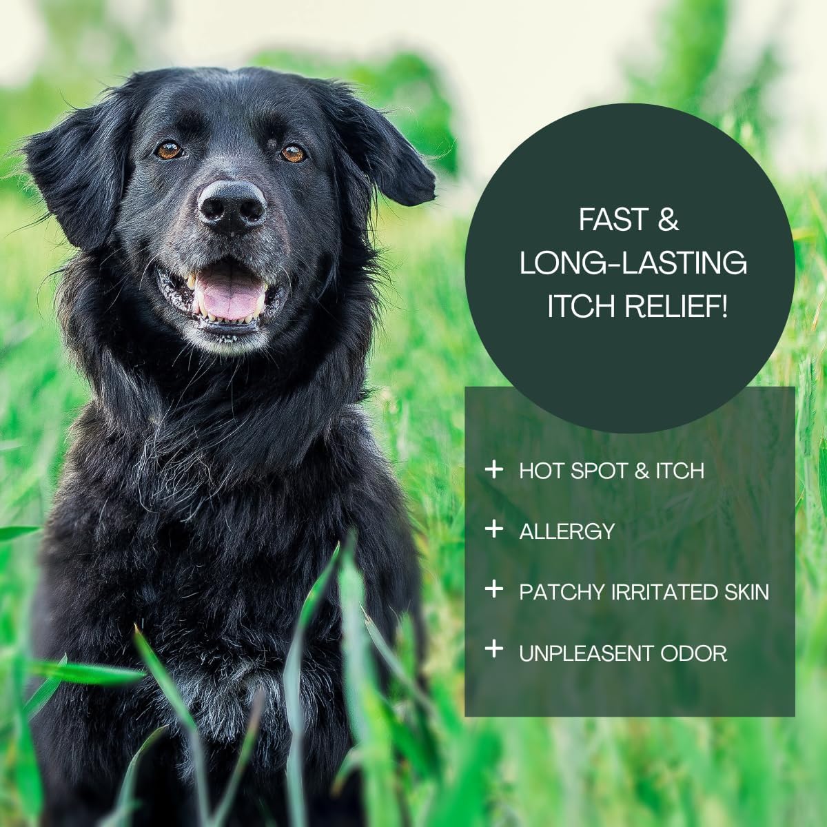 Dog Shampoo Itchy Skin Relief - 16oz, Best Itchy Skin Relief for Dogs, Fast Acting, Soothing Dog Shampoo for Allergies and Itching