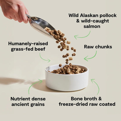 Open Farm, RawMix Dry Dog Food with Ancient Grains, Protein-Packed Kibble Coated in Bone Broth with Freeze Dried Raw Chunks, Pollock Beef & Salmon, Tide & Terrain Recipe, 3.5lb Bag