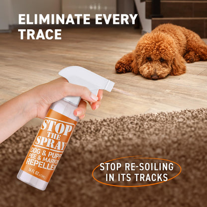 EBPP Stop the Spray - Dog & Puppy Pee Marking Repellent - Pet Training Spray - Puppy Potty Training Spray for Dogs - Dog Pee Stopper - Pee Deterrent for Dogs - No Marking Spray for Dogs Indoor 16oz