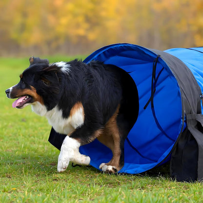28 in Extra Large Dog Agility Tunnel with Sandbags 10 Foot Dogs Agility Training Equipment Tunnel with 3 Pack Sandbags Carry Bag and 4 Ground Spikes for All Medium and Large Dogs