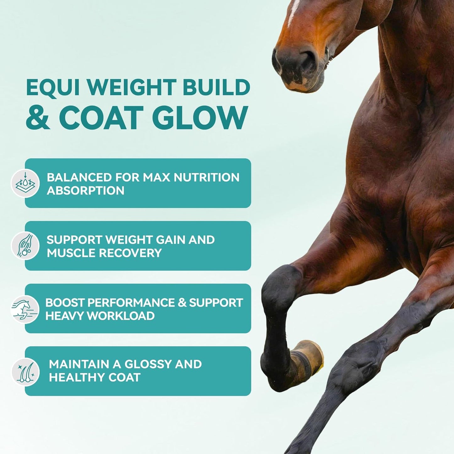 Equi Weight Build & Coat Glow Supplement for Horses Grounded Flaxseed with Omega-3 420g