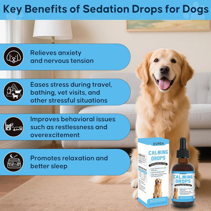 Calming Drops for Dogs with Melatonin – Helps Support Relaxation During Nail Trimming, Grooming, Travel, Vet Visits, Thunder & Fireworks – Natural Soothing Liquid Supplement