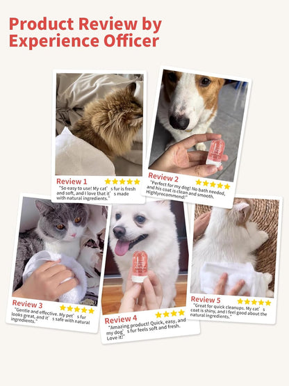 Waterless Dog & Cat/Kitten Shampoo – Odor Control, Safe to Lick, Plant-Based, No Bath Needed – Stain Remover – 8 x 0.41 fl oz (12ml) Travel Tubes – 4 Calming Scents – Ideal for Sensitive Pets