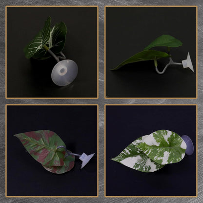 4 Pcs Betta Fish Leaf Pad, Spawning Grounds Breeding Resting Bed, Natural Habitat Pad for Beta Resting/Spawning Grounds/Aquarium Decor