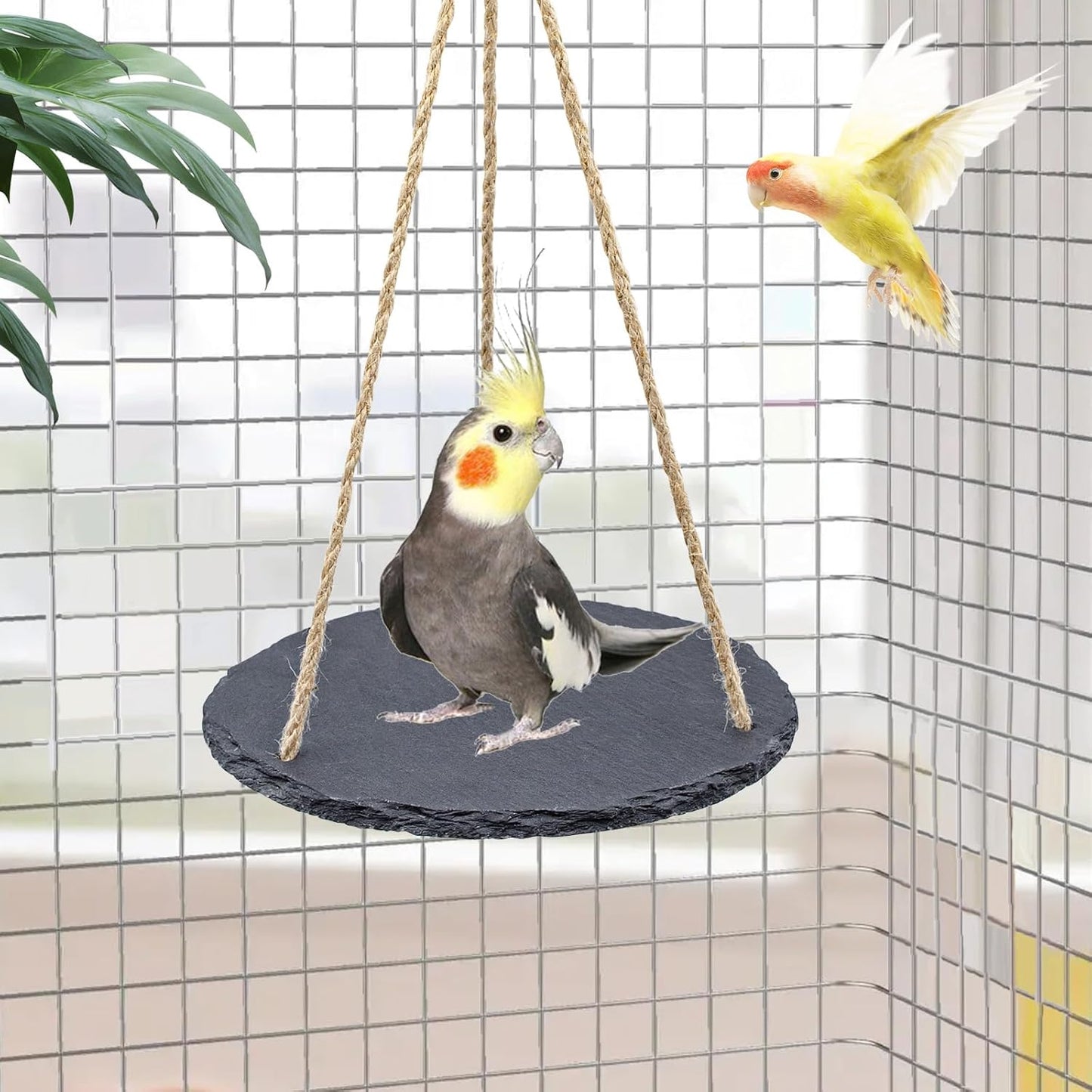 Bird Toys, Swing Perch Toys with Slate Rock and, Bird Playground, Cage Accessories for Budgies, Cockatiels, Lovebirds, Green Cheeks, Small to Medium Birds