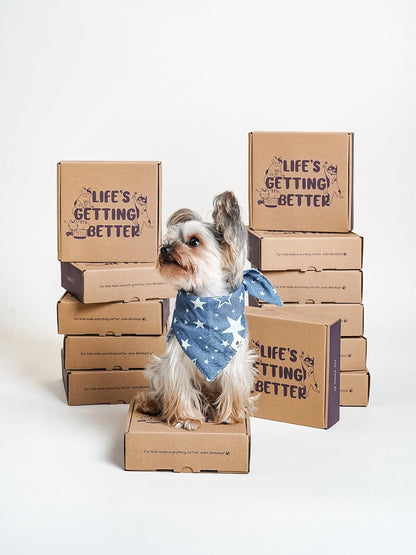 Ceramic Slow Feeder Dog Bowls Small Breed, 0.5 Cups Dog Food Dish for Fast Eaters, Puzzle Bowl for Small Dogs and Cats, 5.5 Inch-Purple