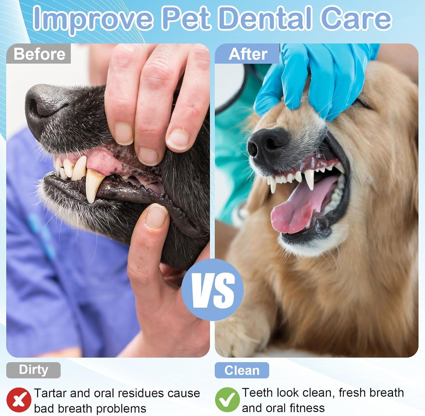 PEASUG 15 Pcs Dog Toothbrushes, Dual Headed Dental Hygiene Brushes, Soft Bristles Pet Toothbrush, Long Handle Dog Tooth Brushes for Small to Large Dogs, Cats, and Most Pets Dental Care