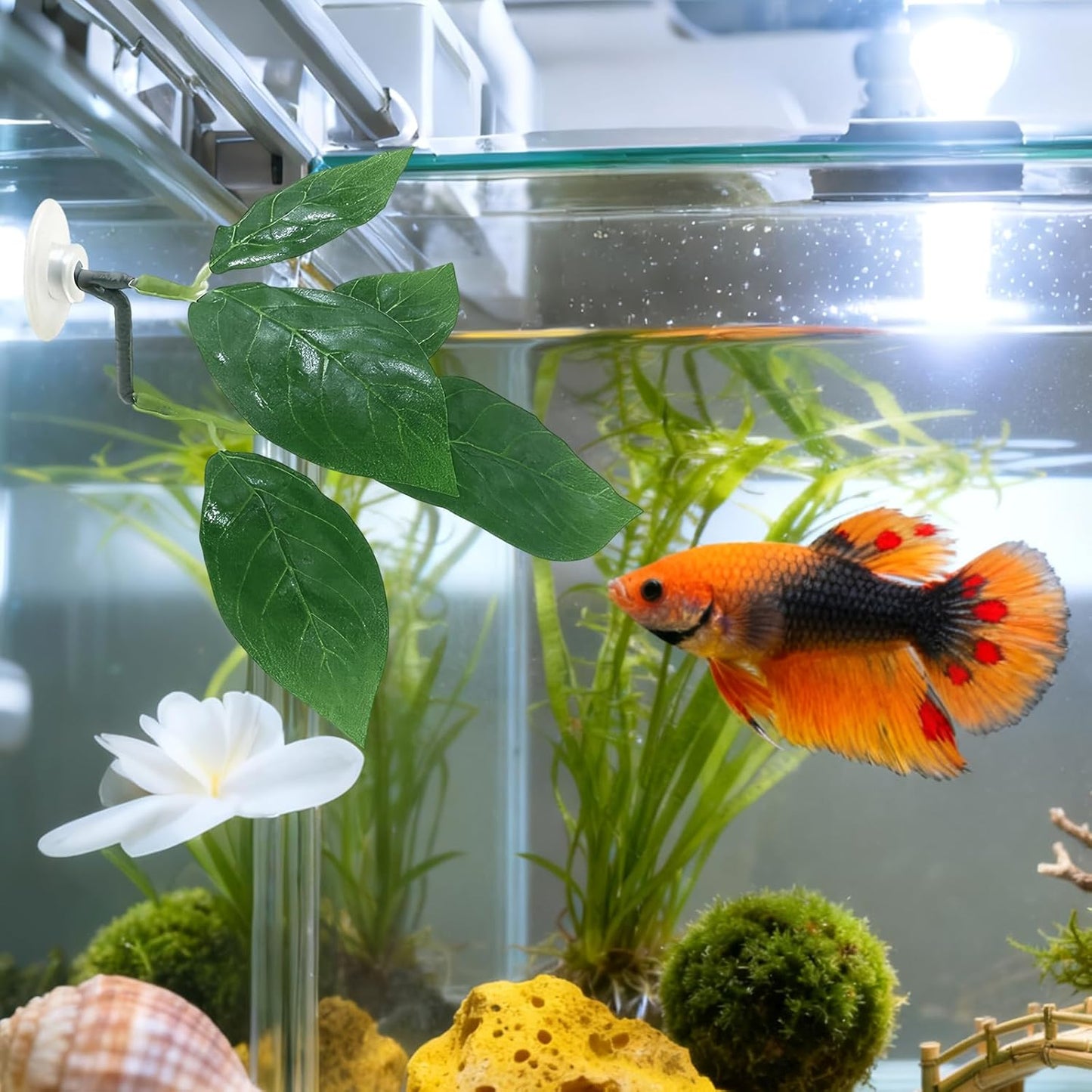 3 Pcs Betta Fish Leaf Hammock, Plastic Betta Leaves with Suction Cups, Betta Fish Leaf Pad Simulating The Natural Habitat for Sleeping Resting Hiding Playing Breeding, Fish Tank Accessories, Green