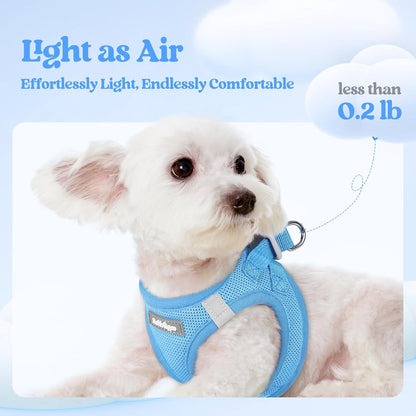 rabbitgoo Dog Harness Small Sized and Leash Set, Step in Soft Light Puppy Vest, Breathable Mesh Pet Harness, Reflective for Safe Easy Walking, Blue M