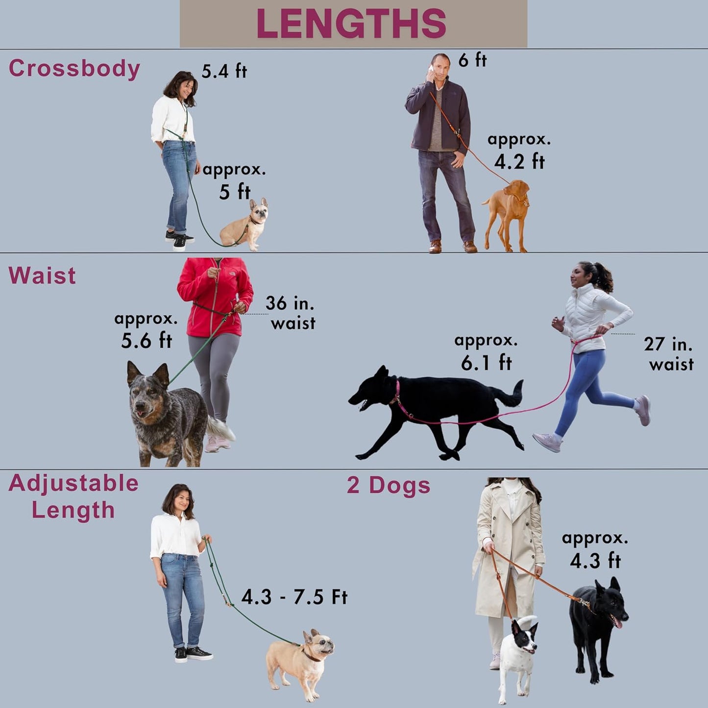 Hands Free Dog Leash, Waist Leash for Dog Walking, Running, Crossbody, Multifunctional, 2 Dogs, Dual Handle, Traditional Lead, Adjustable Lead 4.3ft - 7.5ft, 3/8" (10mm) Diameter.