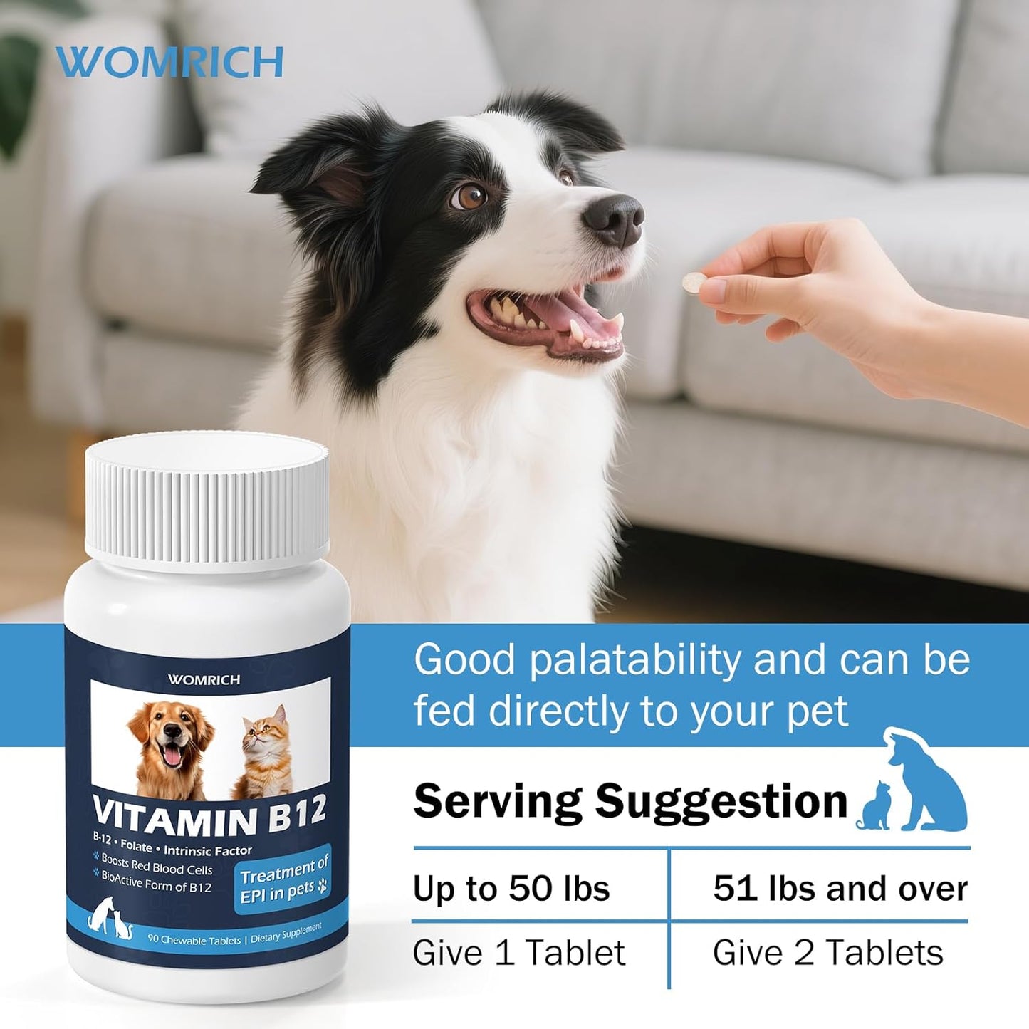 Appetite Stimulant Vitamin B12 Tablets for Cats and Dogs –| Methylcobalamin Supplement – Treatment of EPI in Pets Supports Energy, Red Blood Cell Formation, Nervous System, and Appetite – 90 Tablets