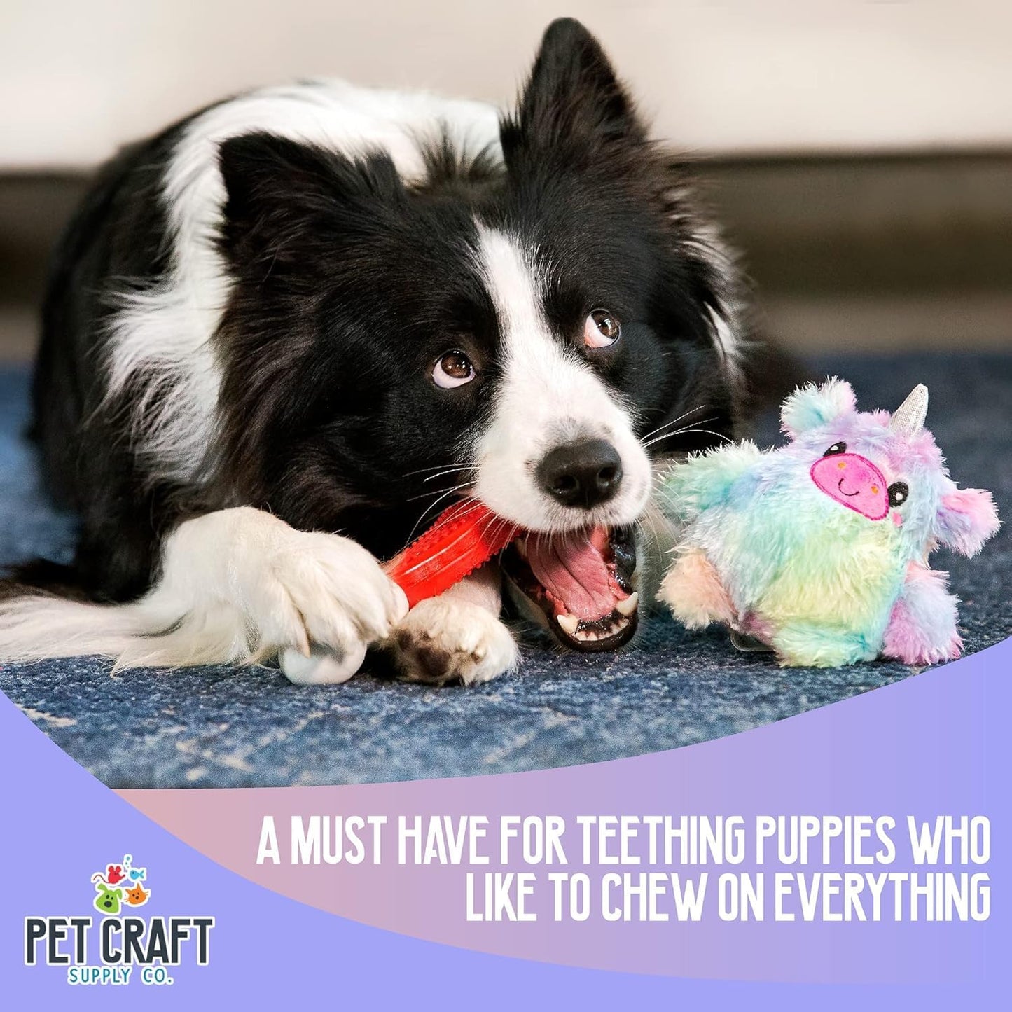 Pet Craft Supply Puppy Teething Dental Chew Teeth Cleaning Nylon Bone Squeaky Plush Dog Toys with Super Squeaker Ball 2 Pack Cute Tough Durable for Puppies Small Medium Dogs Aggressive Chewers