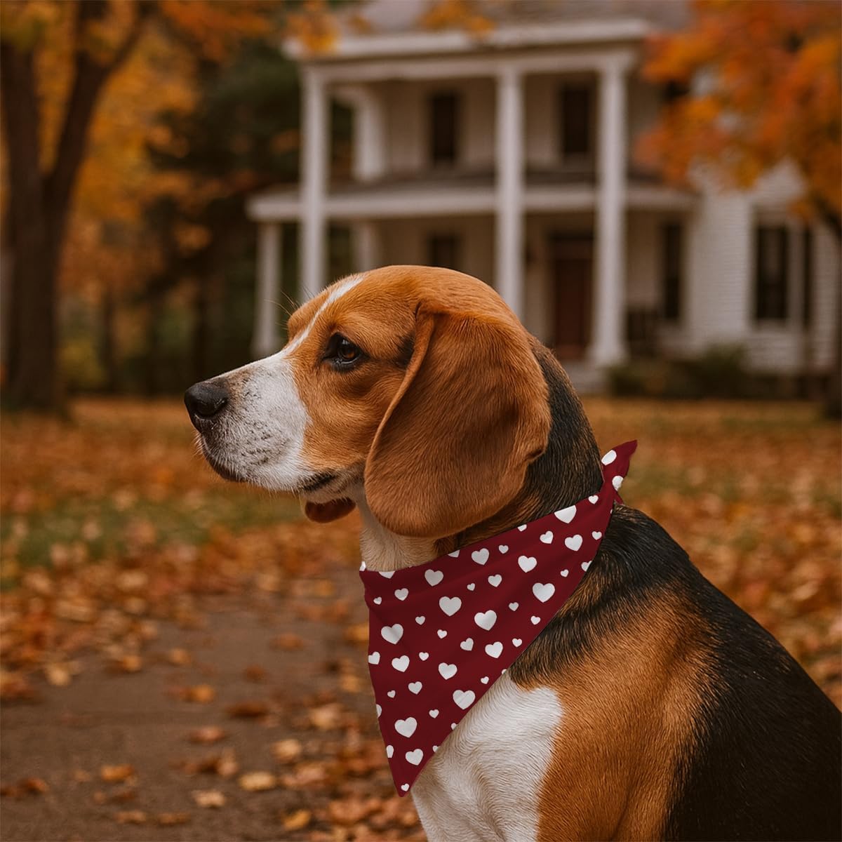 Valentine's Day Dog Bandana, Red Love Pets Bandana, Valentine's Day Pet Photoshoot Accessories, Adjustable Triangle Dog Scarf for Small Medium Dogs, Adjustable Pet Neckerchief