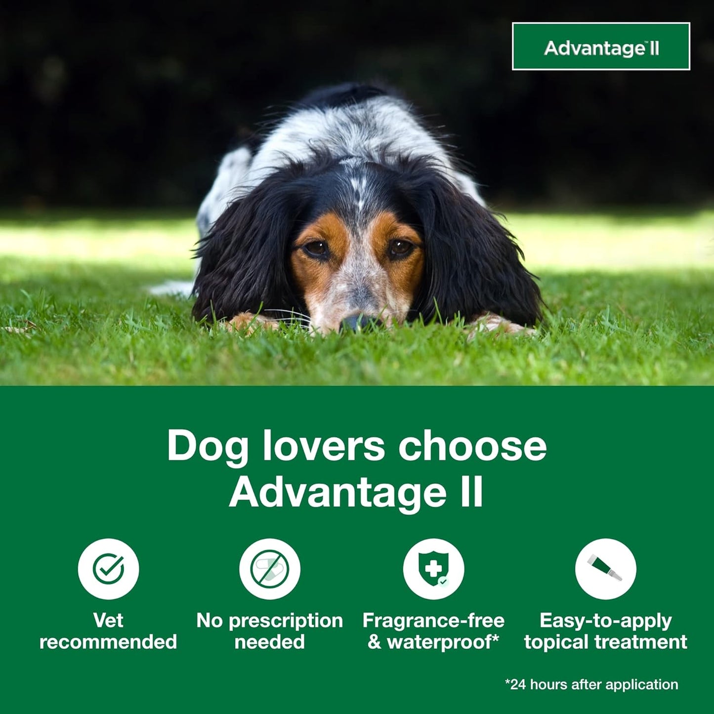Bundle of Advantage II Medium Dog| Dogs 11-20 lbs. | 4-Month Supply + Pet Protect Body Comfort+ Supplement for Dogs | 60 Chews