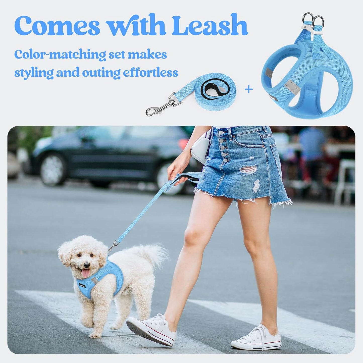 rabbitgoo Dog Harness Small Sized and Leash Set, Step in Soft Light Puppy Vest, Breathable Mesh Pet Harness, Reflective for Safe Easy Walking, Blue M
