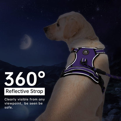 IVY&LANE No Pull Dog Harness for Medium Dogs, Dog Vest Harness with Leash, Safety Belt and Storage Strap, Fully Adjustable Harness, 360?Reflective Strip, Soft Handle (Purple, M)
