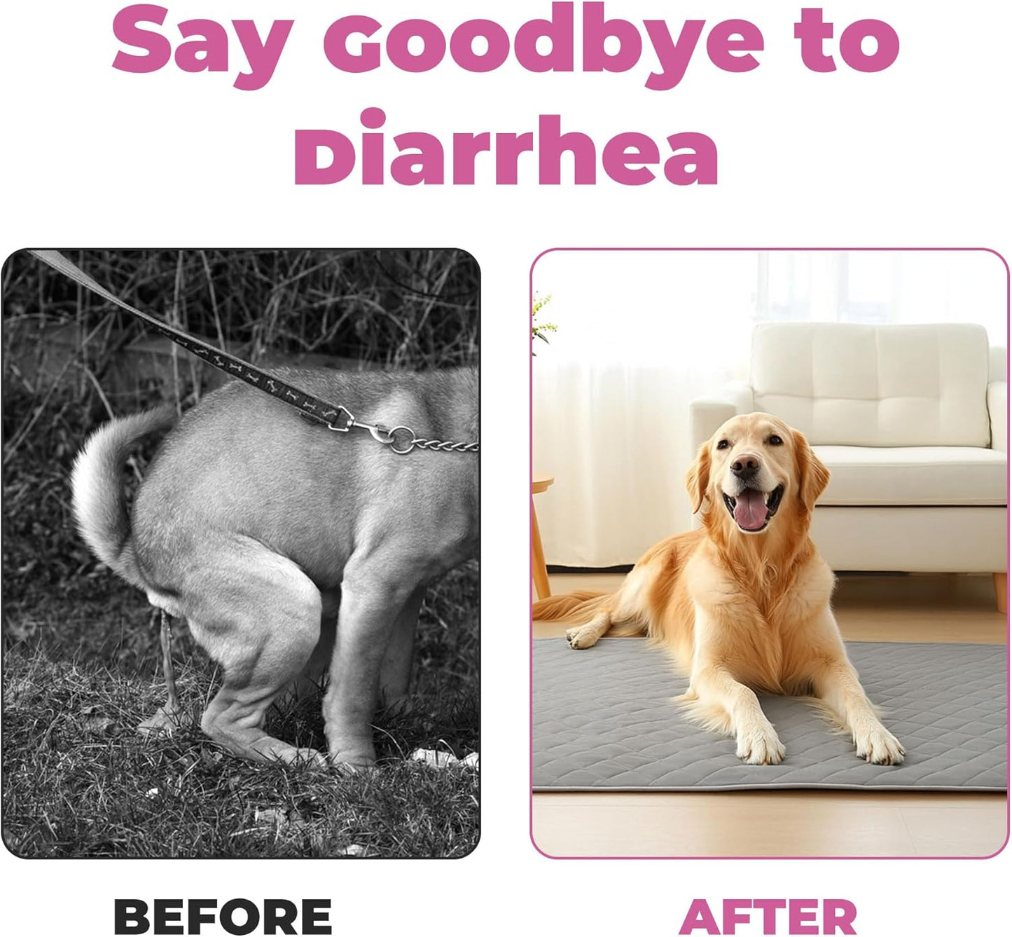 Probiotics for Dogs - Diarrhea Relief for Dogs and Cats - Supports Relief of Diarrhea and Loose Stools - Supports Digestive Balance and Gut Health - with Kaolin Clay and Probiotics - 300 Tablets