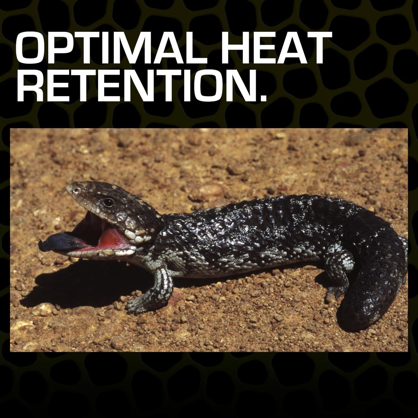 Exo Terra Desert Sand, 10-Pound, Black (Pack of 3)