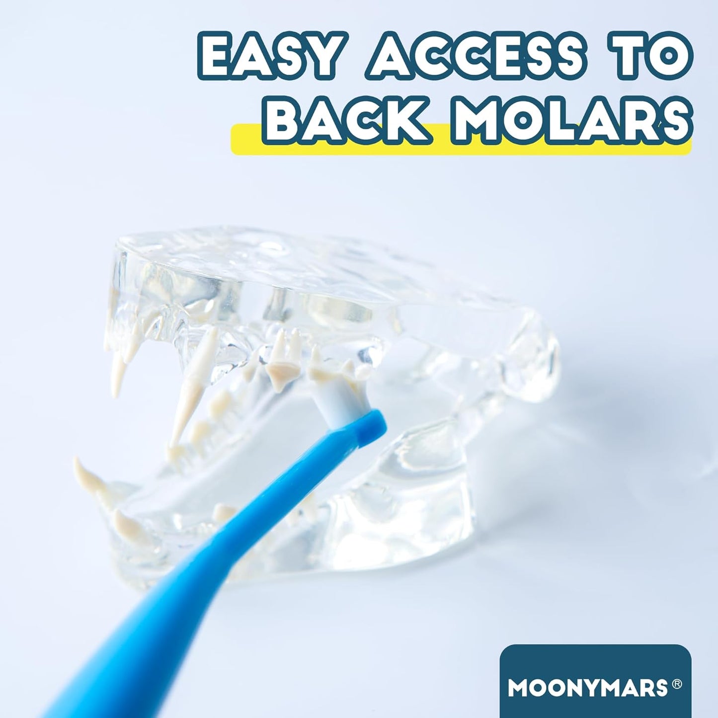 Small Dog Toothbrush, Cat & Puppy Tooth Brushing Kit, Ultra Soft & Mini Head Teeth Brush for Kitten & Tiny Pet, Doggy Toothbrushes Deep Dental Cleaning, 2 PCS - Blue