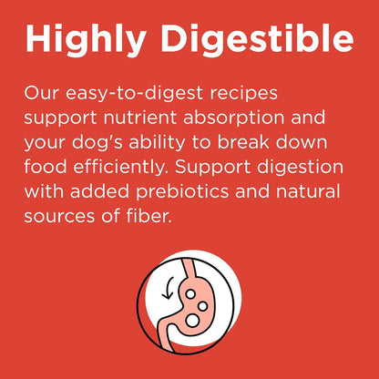 BIXBI Rawbble Dry Dog Food, Beef, 24 lbs - USA Made with No Meat Meals or Fillers - Freeze Dried Raw Coated Dog Food - Industry Leading Digestibility