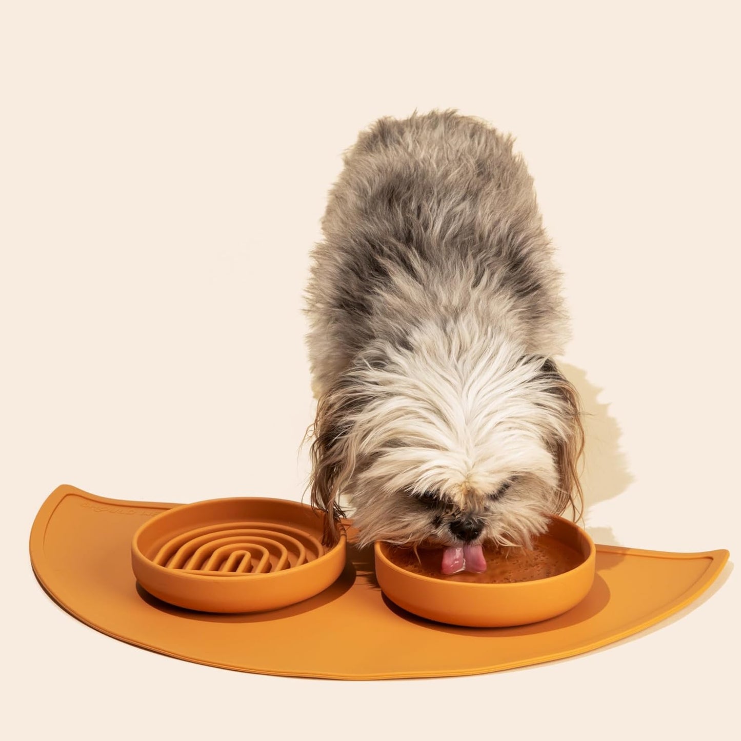 Should We Go? Slow Feeder for Dogs & Cats, The Slowdown Bowl Silicone Slow Eating Mealtime Solution with Modern Lick Mat Design, Reduces Gulping, Fits 1 Cup, 6” Across x 1.25” Tall, Small-Sage