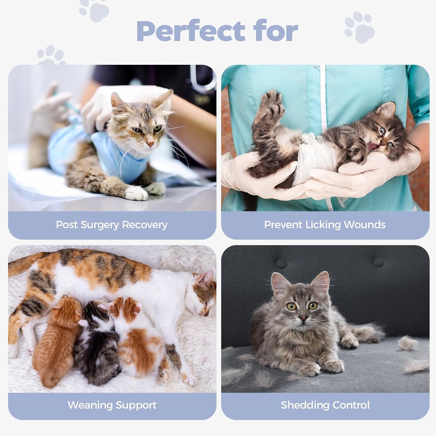 Avont Cat Recovery Suit Post-Surgery Onesie, Breathable Cone-of-Shame Alternative Bodysuit for Spayed Female Kittens, Skin Abdonminal Wound Care -Purple(M)