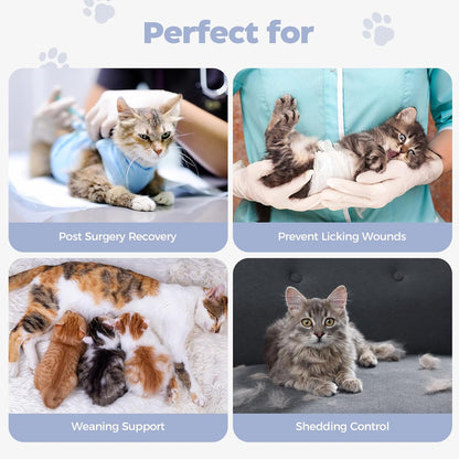 Avont Cat Recovery Suit Post-Surgery Onesie, Breathable Cone-of-Shame Alternative Bodysuit for Spayed Female Kittens, Skin Abdonminal Wound Care -Purple(M)